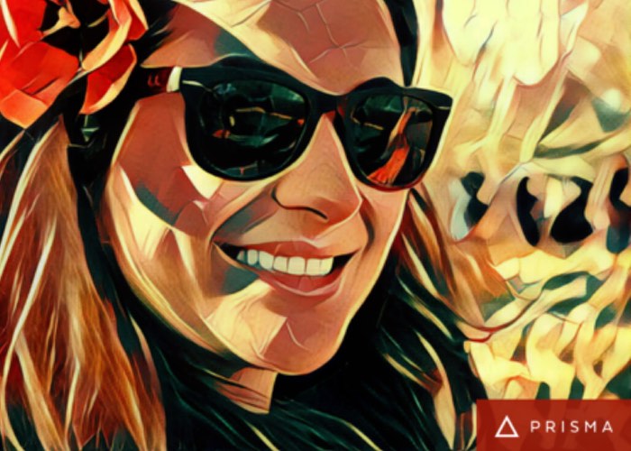 prisma for pc laptop