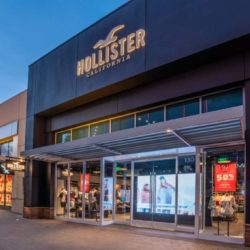 Hollister Survey