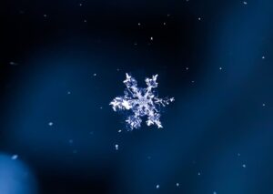 Best Snowflake Identification Apps in Canada for Winter