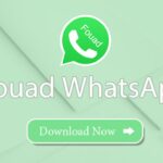 Fouad WhatsApp Download